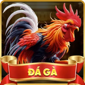 Cá cược thể thao 36win