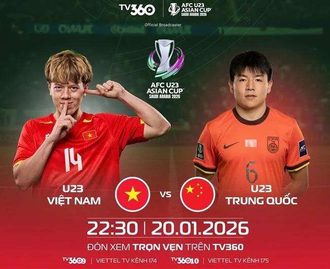 Quan sát phong độ gà